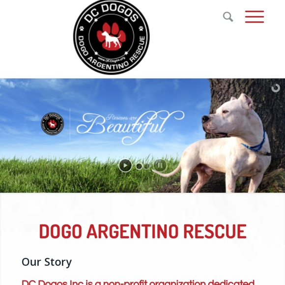 Jonathan - Picture 2 of 2